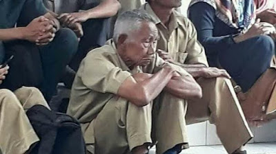 Pemerintah Wajib Tau, Yang Namanya Honorer K2 ya Pasti Tua